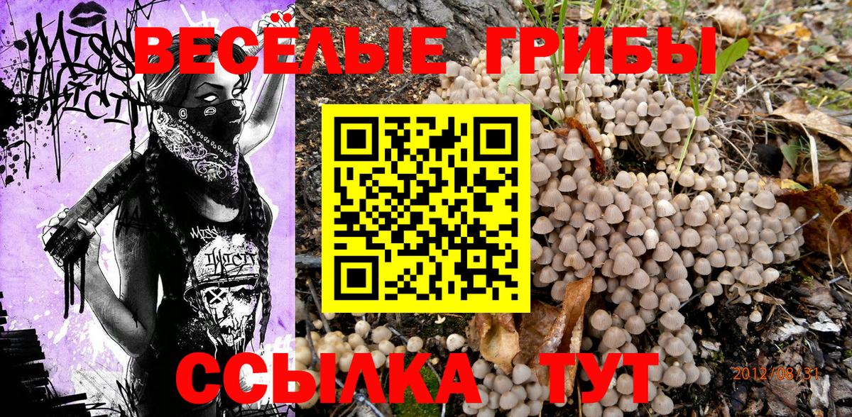 Галлюциногенные грибы Cubensis Нерюнгри